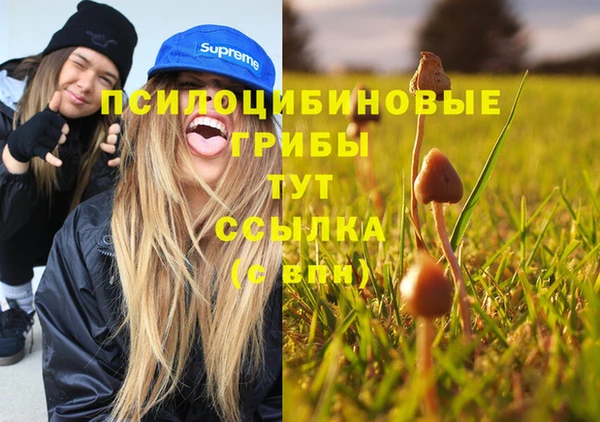 мефедрон Абаза