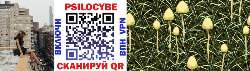 Галлюциногенные грибы прущие грибы  Сусуман 